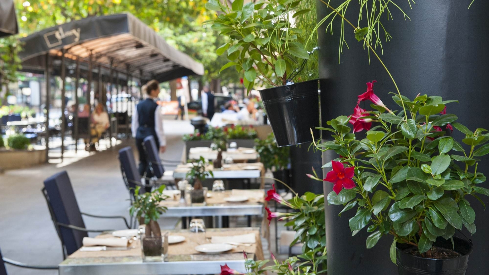 Tables on Terrace of Restaurant Cafe Doney